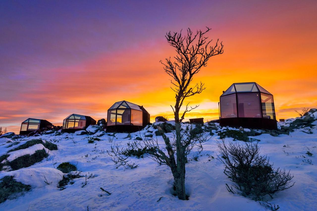 Kalle'S Inn Glass Houses Soderudden Exteriér fotografie